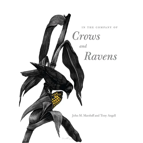 In the Company of Crows and Ravens - Paperback