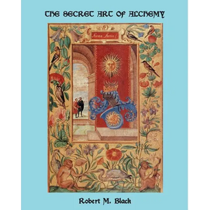 The Secret Art of Alchemy - Paperback