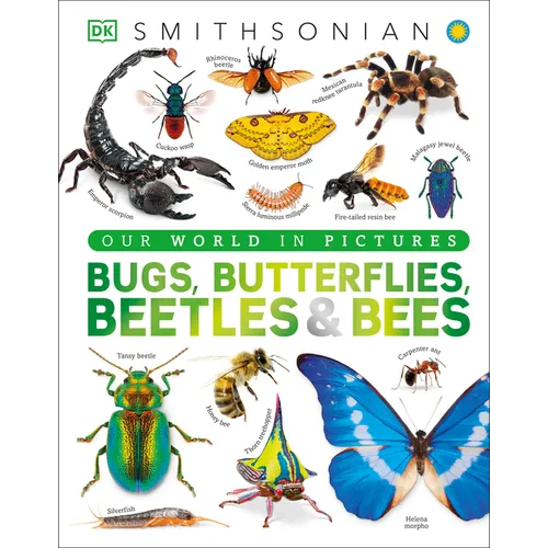 Our World in Pictures Bugs, Butterflies, Beetles and Bees - Hardcover