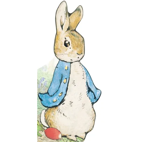 All about Peter - Board Book