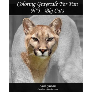 Coloring Grayscale For Fun - N°3 - Big Cats: 25 Big Cats Grayscale images to color and bring to life - Paperback