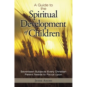 A Guide to the Spiritual Development of Children: Seventeen Subjects Every Christian Parent Needs to Focus Upon - Paperback