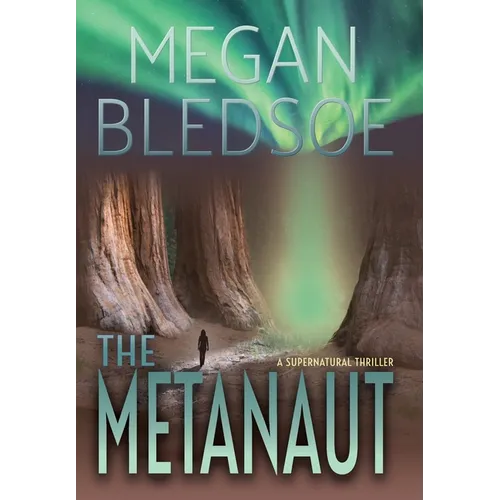 The Metanaut: a supernatural thriller - Hardcover