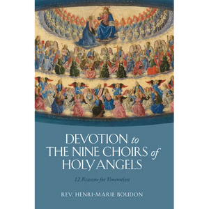 Devotion to the Nine Choirs of Holy Angels: 12 Reasons for Veneration - Hardcover