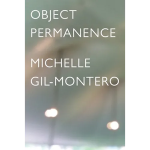 Object Permanence - Paperback