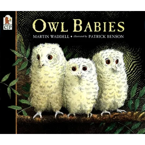 Owl Babies - Paperback