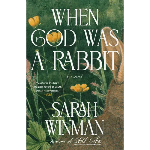 When God Was a Rabbit - Paperback