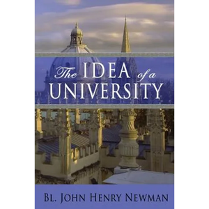 The Idea of a University - Paperback