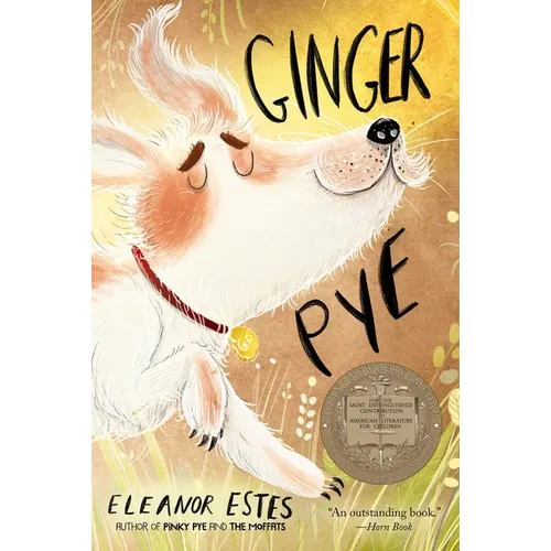 Ginger Pye - Paperback
