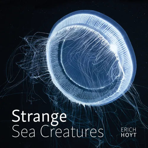 Strange Sea Creatures - Paperback