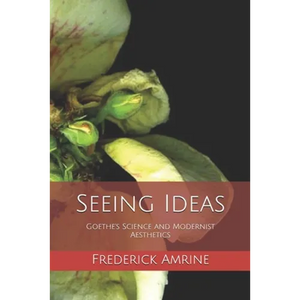 Seeing Ideas: Goethe's Science and Modernist Aesthetics - Paperback