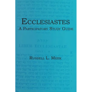 Ecclesiastes: A Participatory Study Guide - Paperback