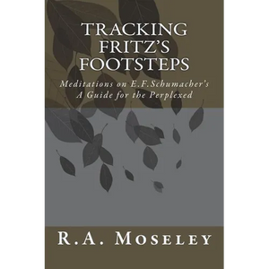 Tracking Fritz's Footsteps: Meditations on E.F. Schumacher's A Guide for the Perplexed - Paperback