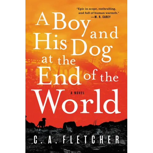 A Boy and His Dog at the End of the World - Paperback