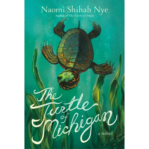 The Turtle of Michigan - Paperback
