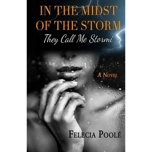 In the Midst of the Storm: They Call Me Stormi a Novel - Paperback