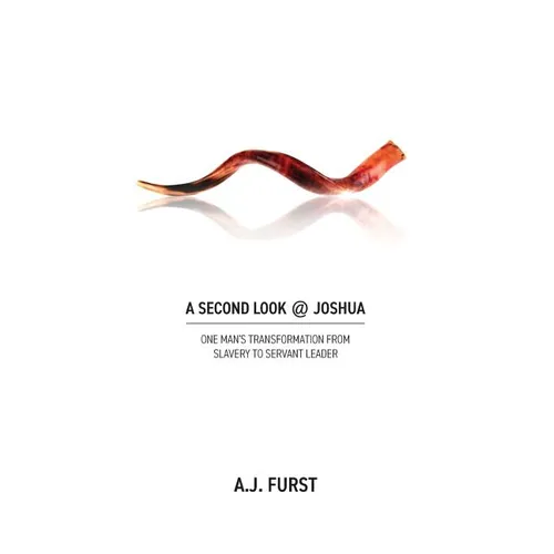 A Second Look @ Joshua - Paperback