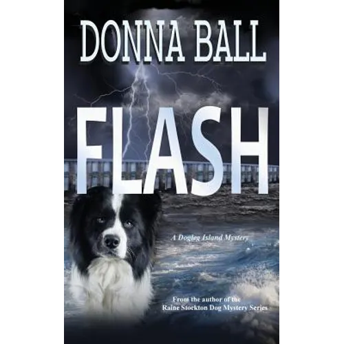 Flash - Paperback