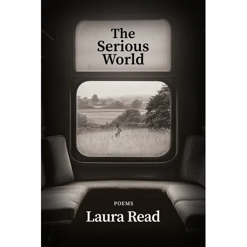 The Serious World - Hardcover
