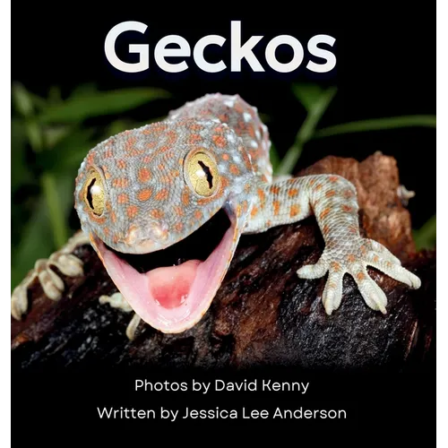Geckos: Get to Know More About These Vocal Lizards! - Hardcover