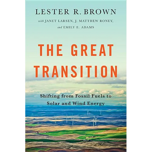 Great Transition: Shifting from Fossil Fuels to Solar and Wind Energy - Paperback