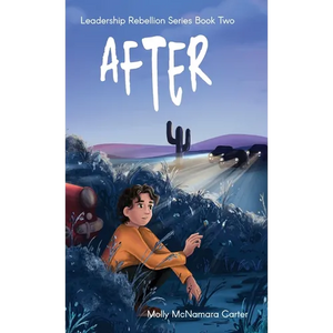 After - Hardcover