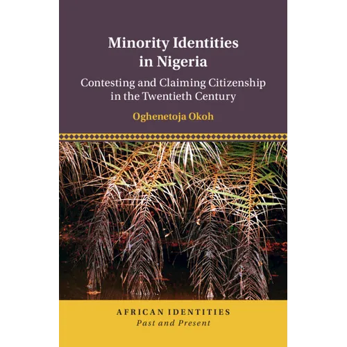 Minority Identities in Nigeria - Hardcover