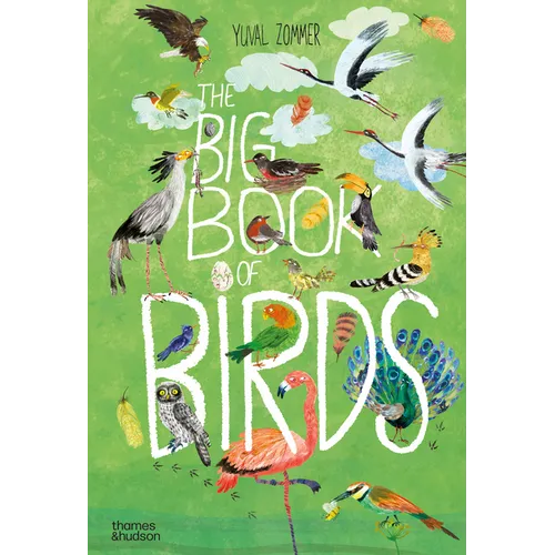 The Big Book of Birds - Hardcover