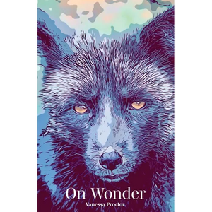 On Wonder - Paperback