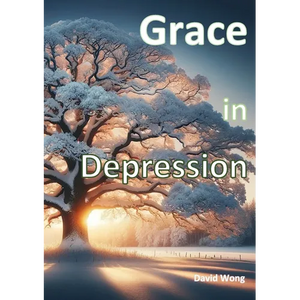 Grace in Depression - Paperback
