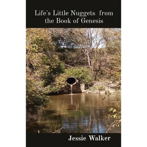 Life's Little Nuggets from the Book of Genesis - Paperback