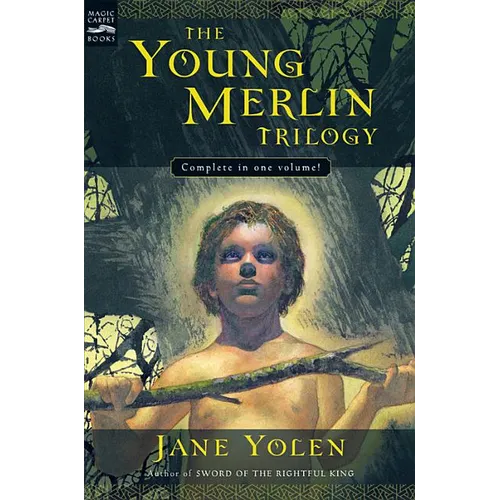 The Young Merlin Trilogy: Passager, Hobby, and Merlin - Paperback
