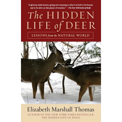 The Hidden Life of Deer - Paperback