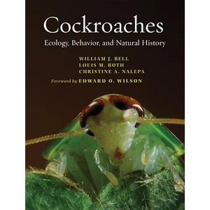 Cockroaches: Ecology, Behavior, and Natural History - Paperback