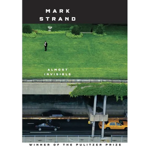 Almost Invisible - Paperback