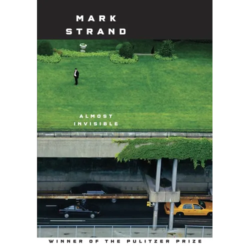 Almost Invisible - Paperback
