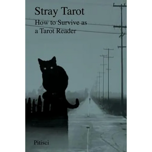 Stray Tarot: How to Survive as a Tarot Reader - Paperback