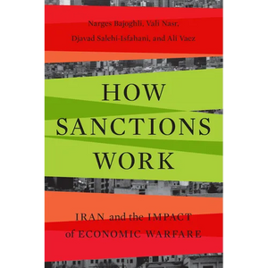 How Sanctions Work: Iran and the Impact of Economic Warfare - Paperback