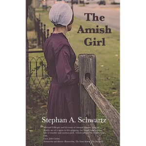 The Amish Girl: A Novel of Death and Consciousness - Paperback