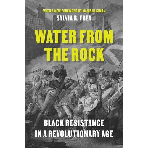 Water from the Rock: Black Resistance in a Revolutionary Age - Paperback