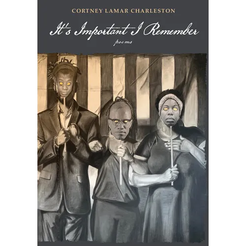 It's Important I Remember: Poems - Hardcover