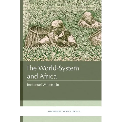 The World-System and Africa - Paperback