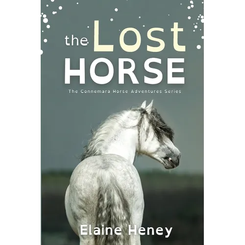 The Lost Horse - Dyslexia Friendly - Paperback