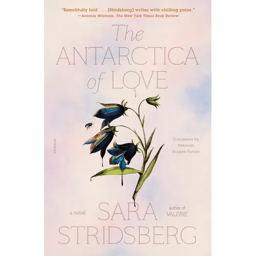 The Antarctica of Love - Paperback