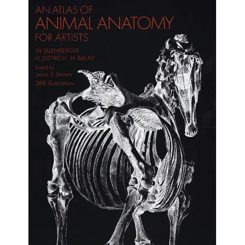 An Atlas of Animal Anatomy for Artists - Paperback
