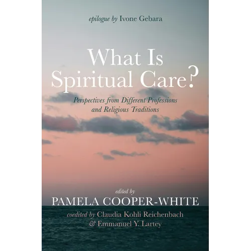 What Is Spiritual Care?: Perspectives from Different Professions and Religious Traditions - Paperback