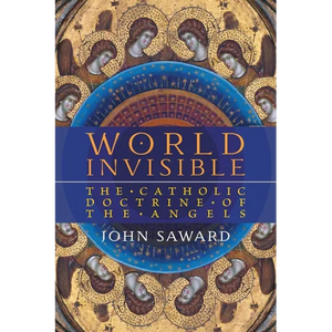 World Invisible: The Catholic Doctrine of the Angels - Paperback