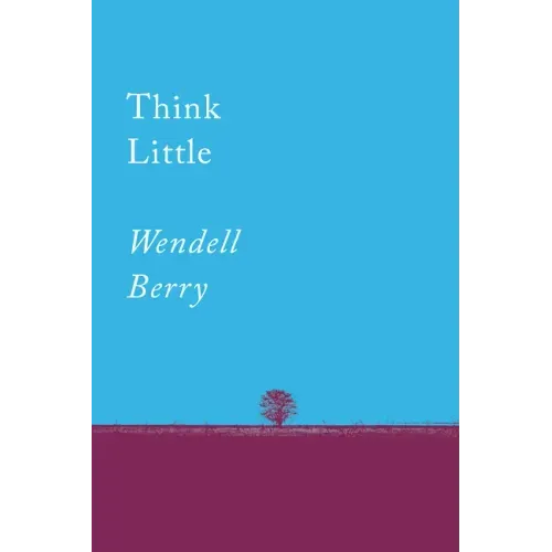 Think Little: Essays - Paperback