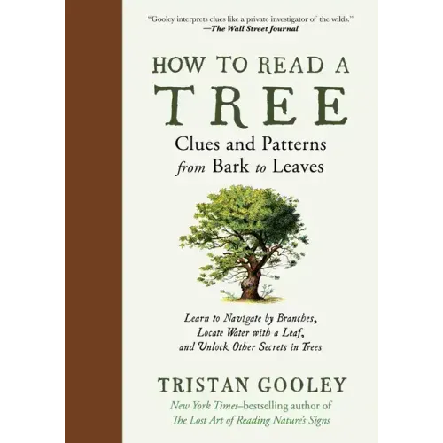 How to Read a Tree: Clues and Patterns from Bark to Leaves - Hardcover
