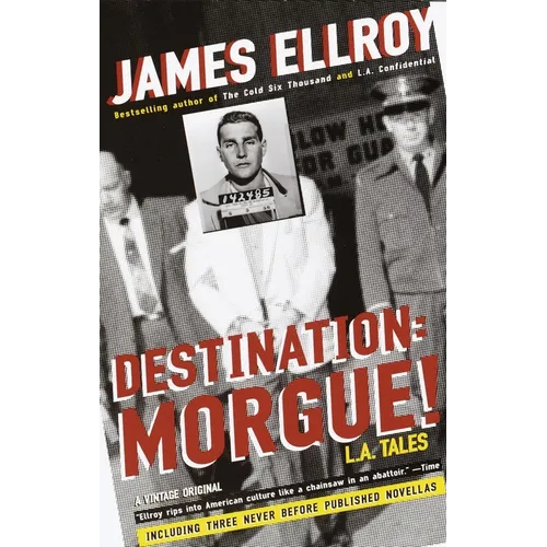 Destination: Morgue!: L.A. Tales - Paperback